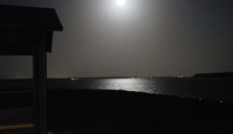 Night View at Beacon Hill