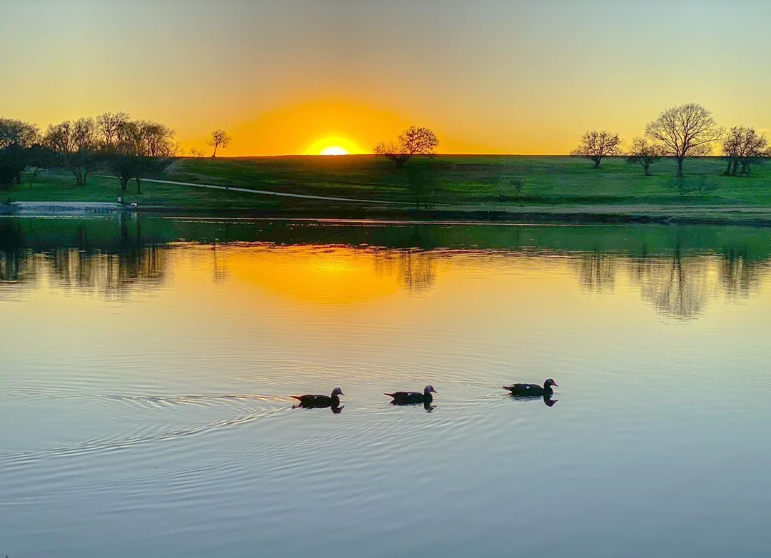 prairie dogs prairie dogs