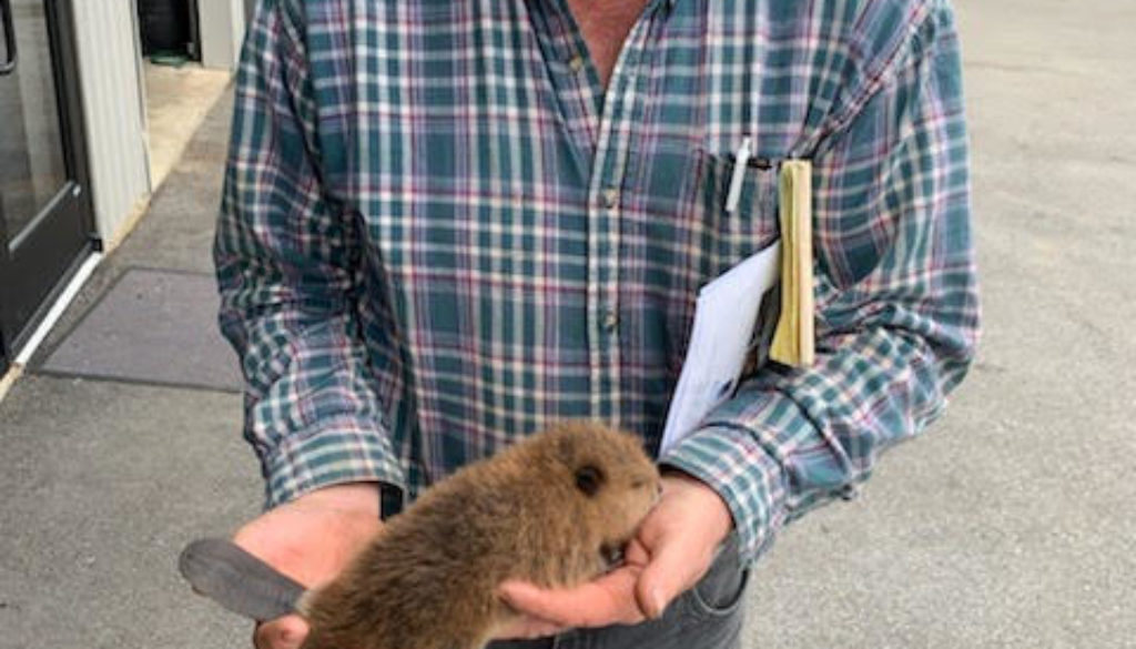 Beacon Hill Wildlife Biologist Mark McDonald
